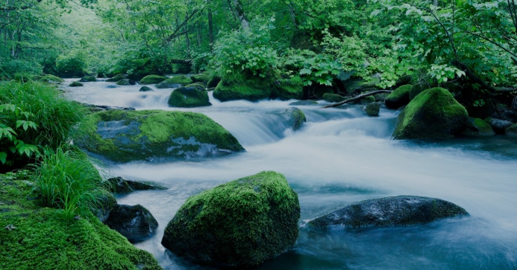 Wabi-sabi: A Japanese Philosophy of&nbsp;Imperfection